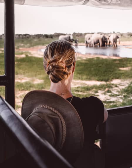 Safari Etosha Namibie 