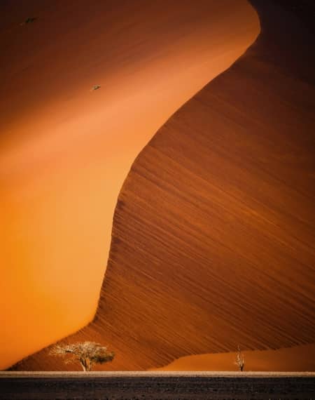 Voyage Namibie 