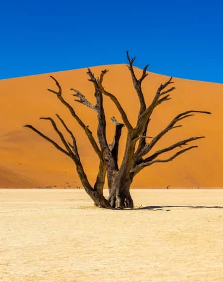 Sossusvlei Namibie 