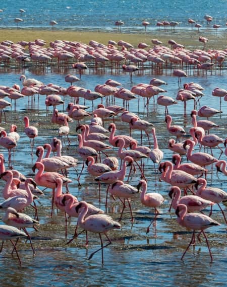 Walvis Bay Namibie 