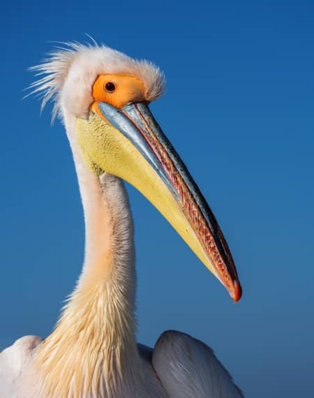 Walvis Bay Namibie