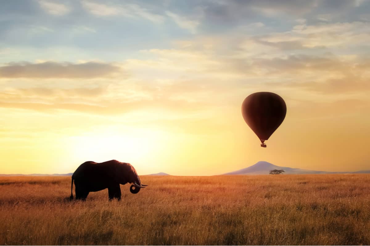 Activités en Tanzanie