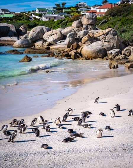 Cape Town 