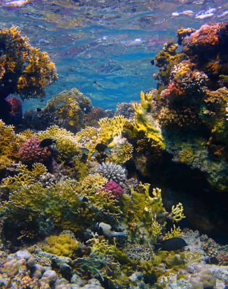 plages Zanzibar