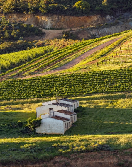 Route des vins Afrique du Sud 