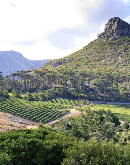 Cape Town 