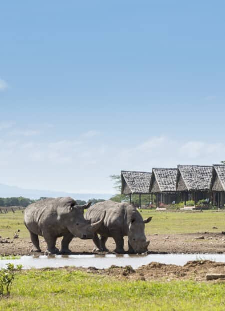 Lodge au Kenya Sweetwaters Serena Camp Ol Pejeta 