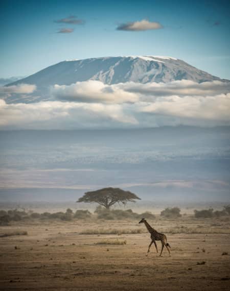 Parc National Amboseli