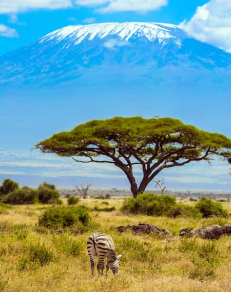 Parc national d'Amboseli 
