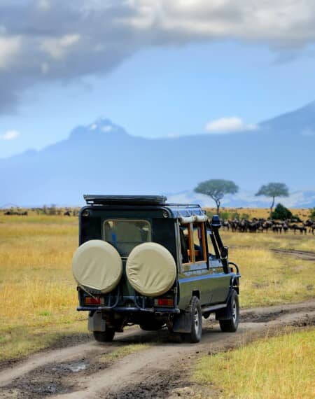 Réserve du Masai Mara Kenya 