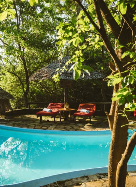 Lodge en Tanzanie Mikumi Parc 