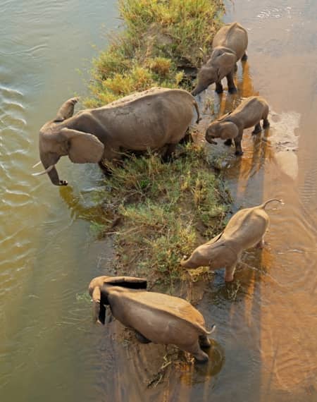 Addo Elephant Park