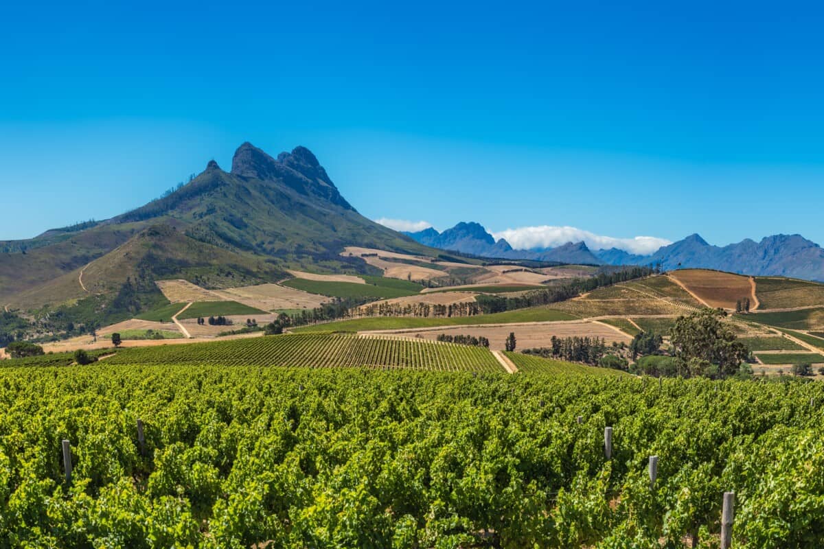 Les Terroirs du Cap