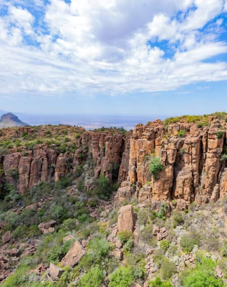 Karoo