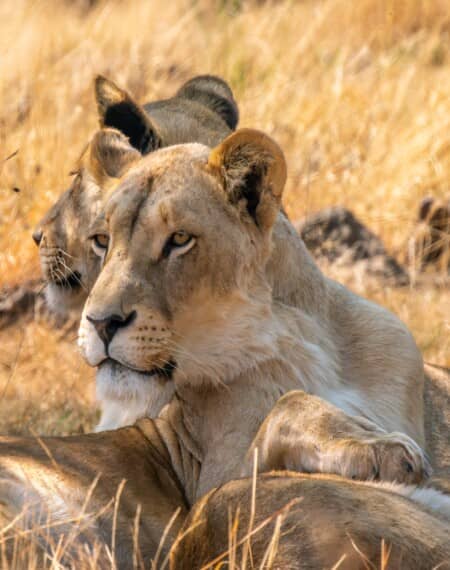 Kruger National Park