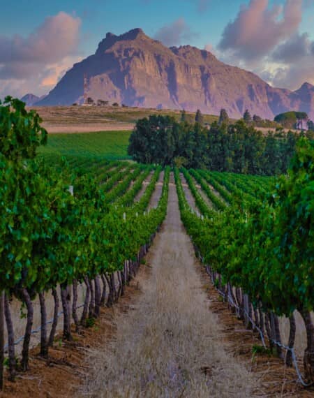 Cape Town 