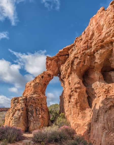 Cederberg