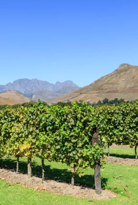 Franschhoek Route des Vins 