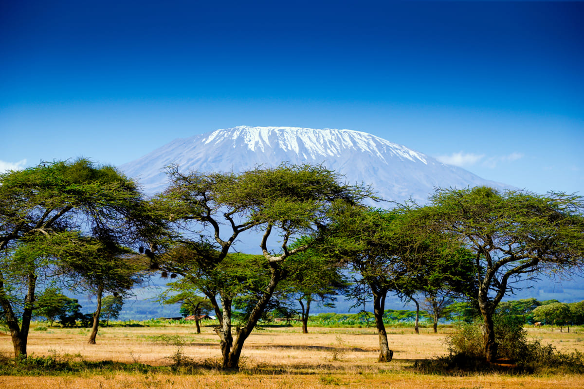 Parcs au Kenya