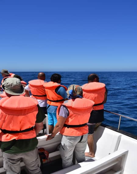Promenade en bateau sur l’estuaire de St Lucia 