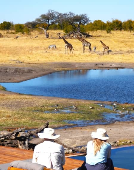 période safari Zimbabwe