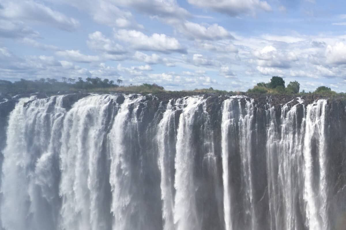 Coups de cœur au Zimbabwe