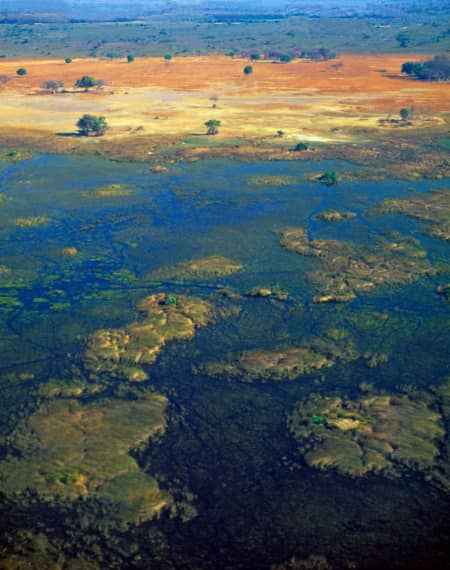 Delta de l'Okavango Botswana 