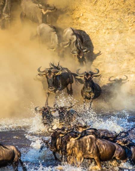 Période Grande Migration