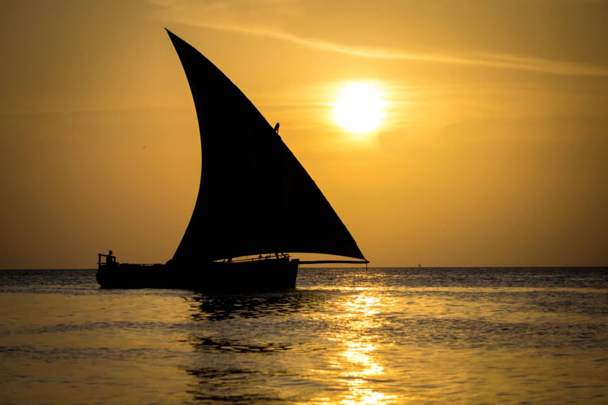 Activités en Tanzanie
