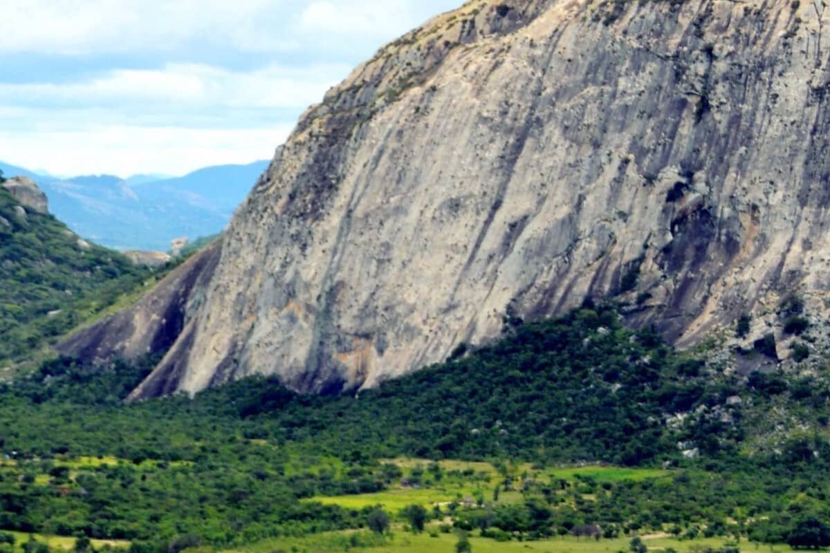 Coups de cœur au Zimbabwe