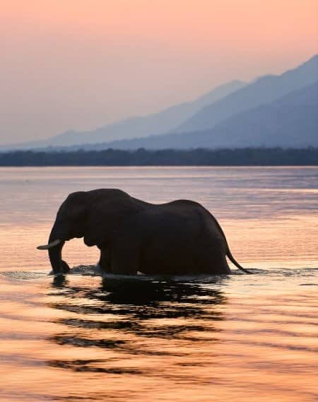 Parc Lower Zambezi Zambie