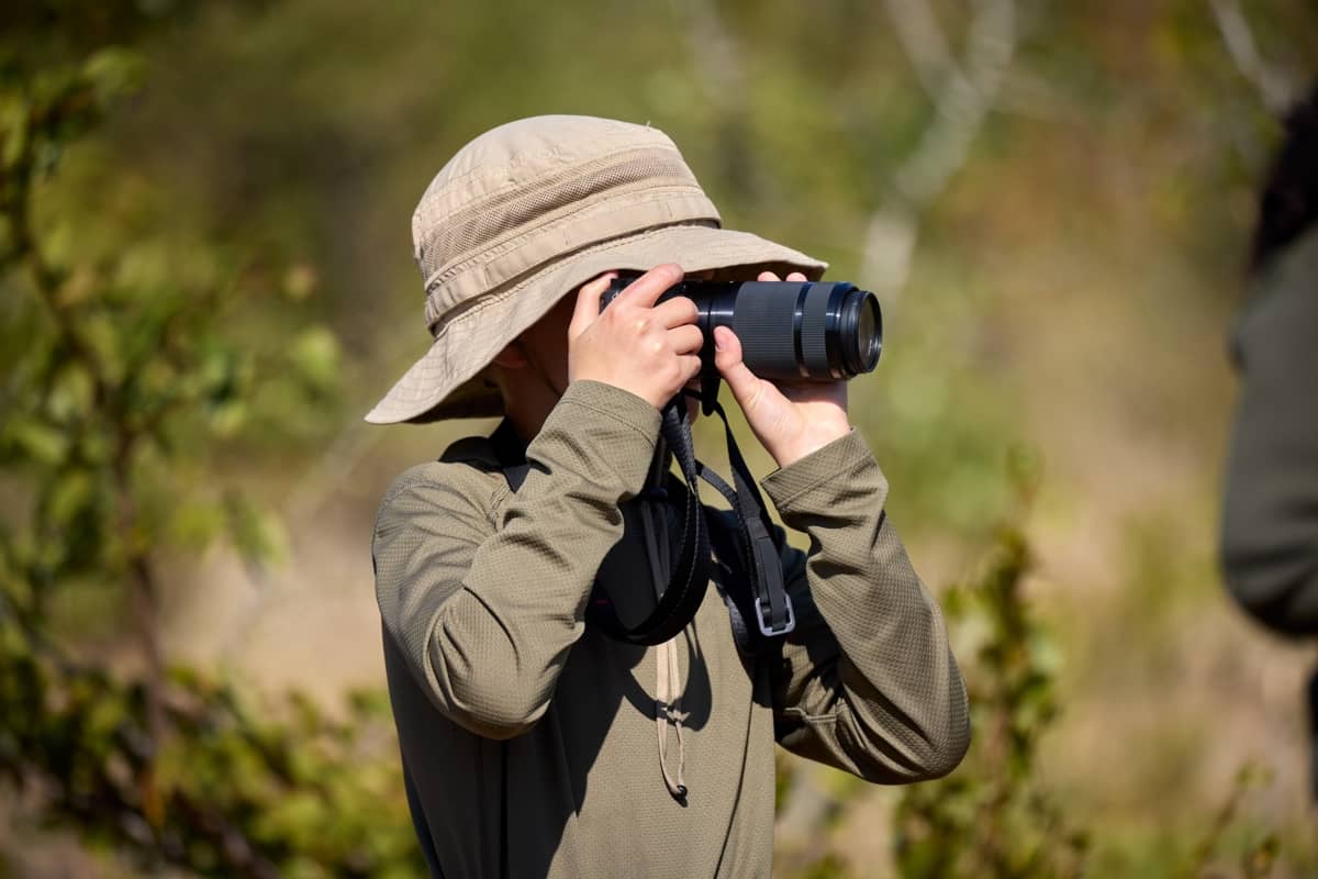 Vivre un safari en famille