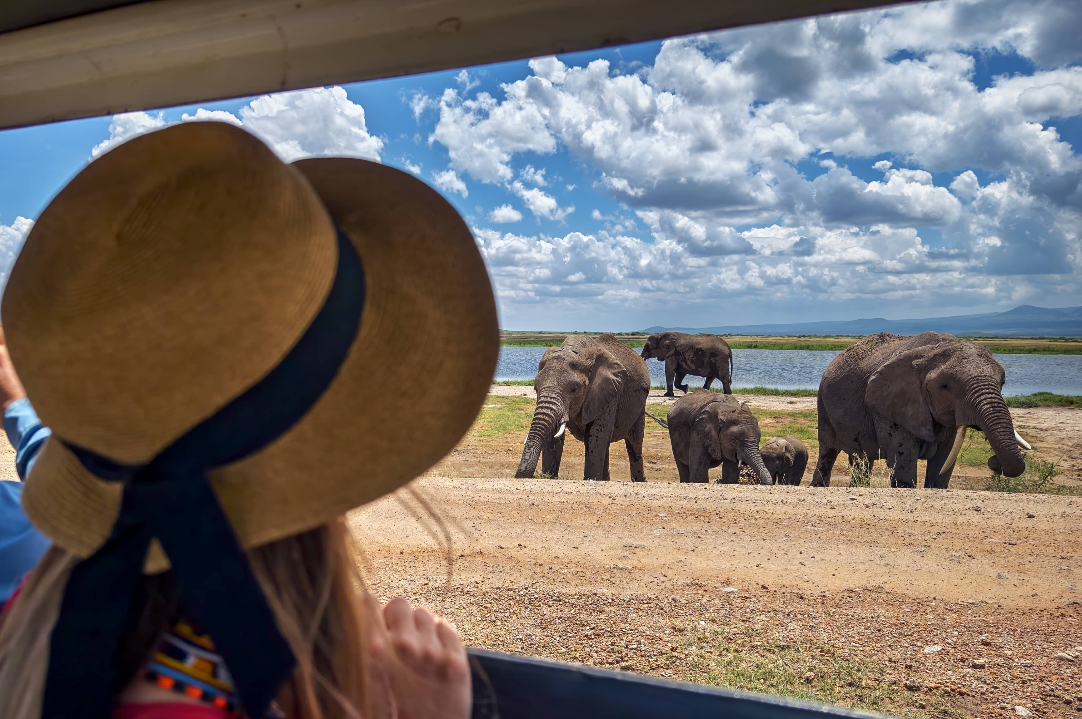 Safari en famille avec des enfants