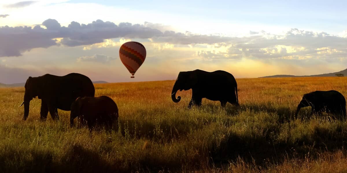 Voyage de noces au Kenya 