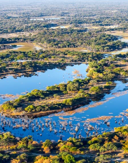 Voyage au Botswana 