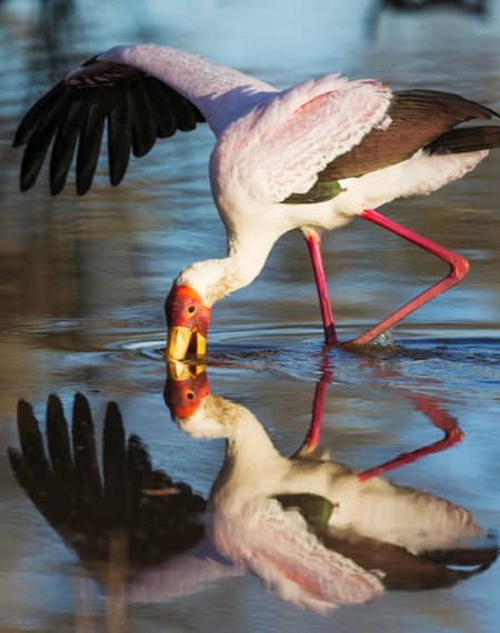 Le lac Natron